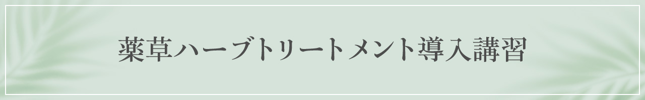 薬草ハーブトリートメント導入講習